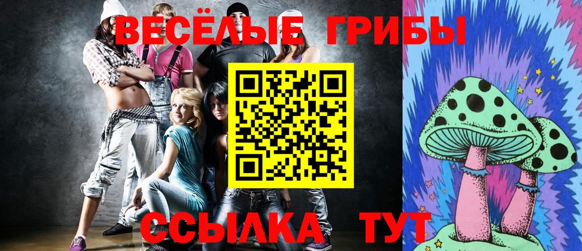 Галлюциногенные грибы Psilocybine cubensis Ачинск