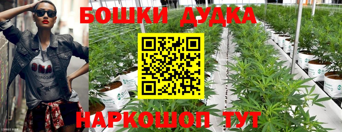Шишки марихуана OG Kush Ачинск